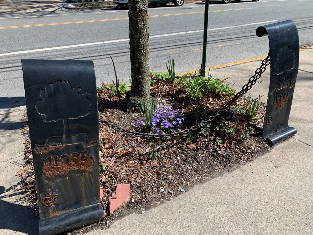 Flowers at Rochambeau Community Library.