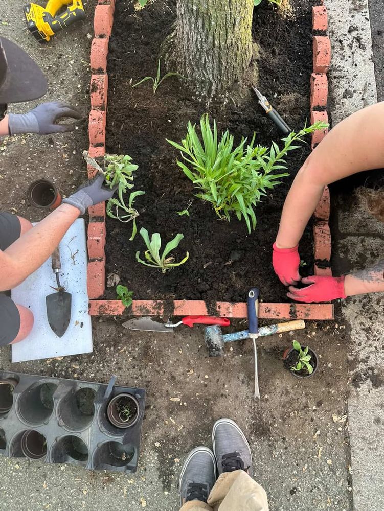 People planting a tree pit.