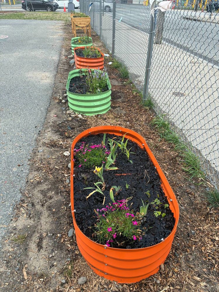 Flowers in containers.