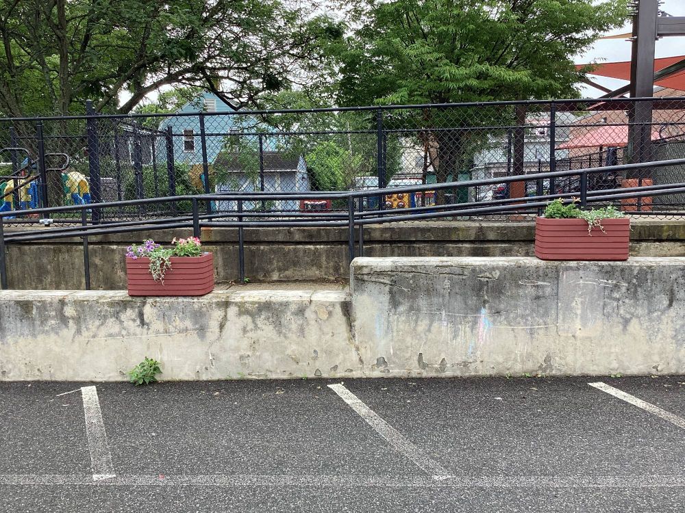 Planter boxes in Providence.