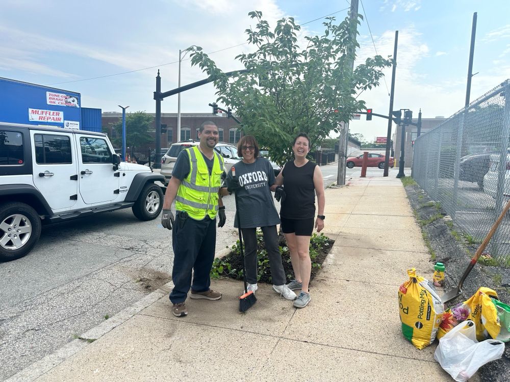 Folks planting at a street tree near Elmwood in Providence.
