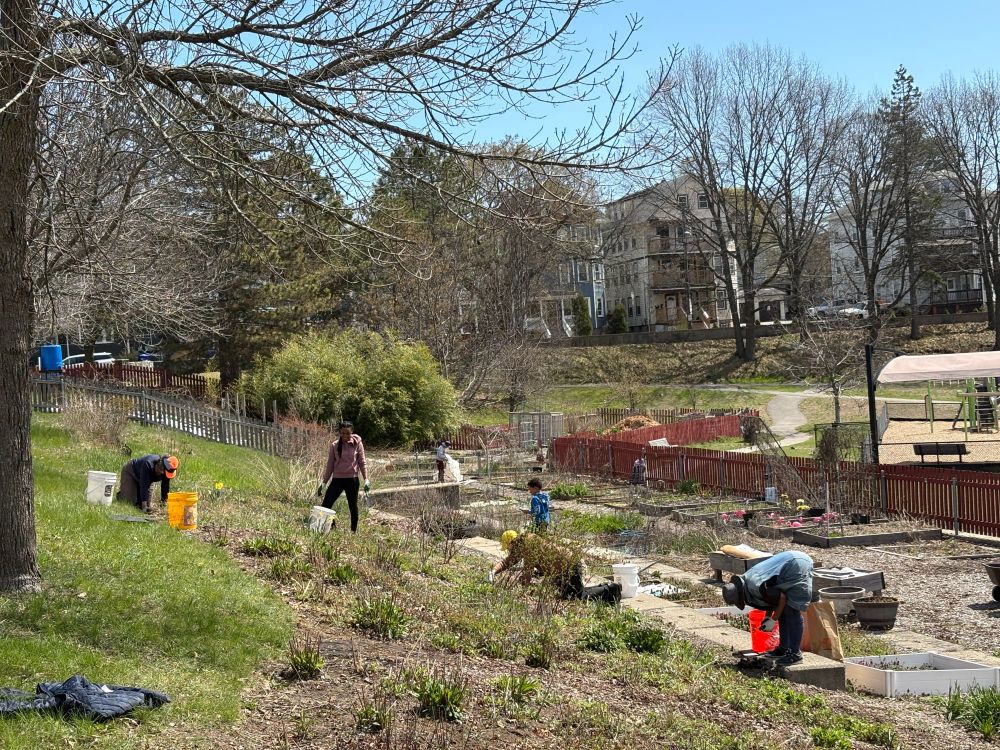 Volunteers in community garden.