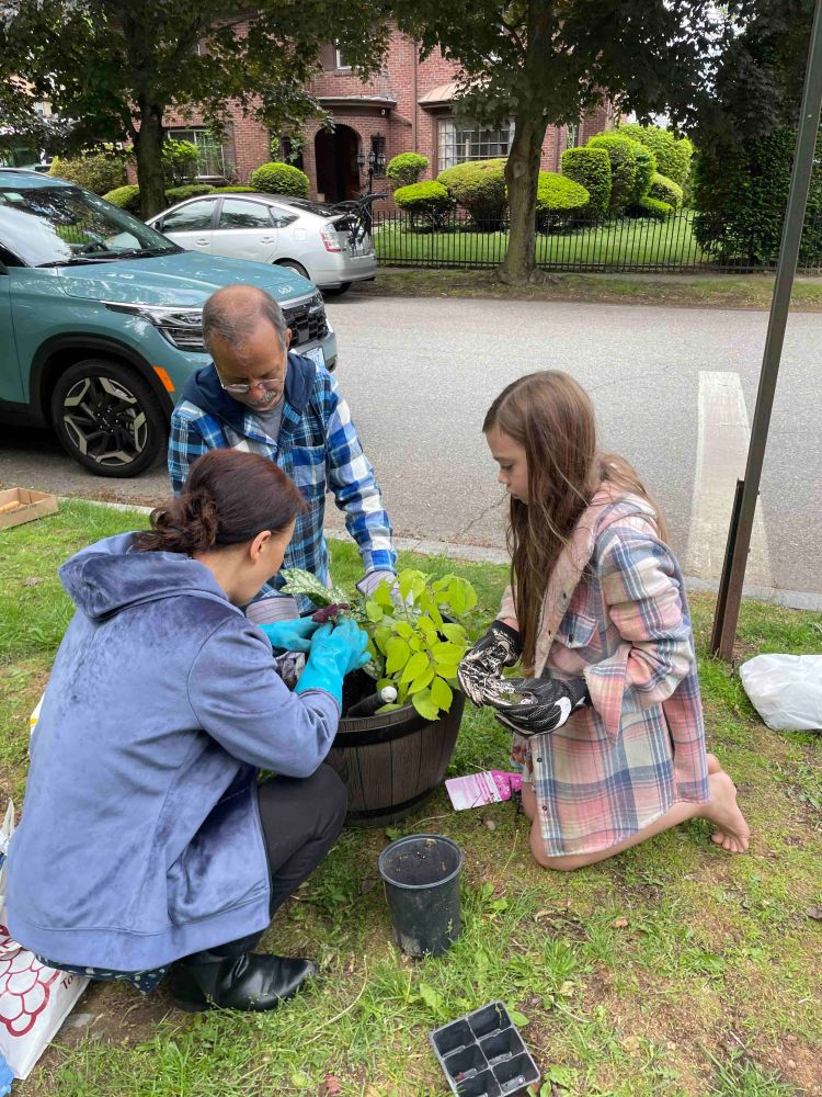 Volunteers planting in Providence.