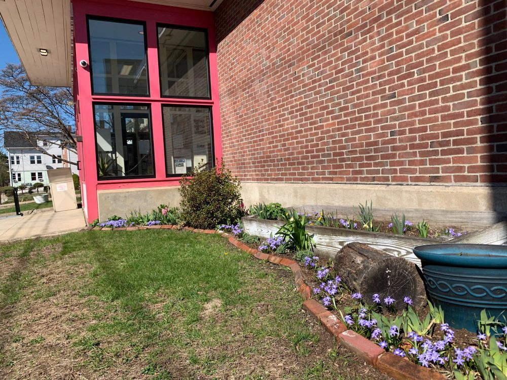 Flowers at Mount Pleasant Community Library.