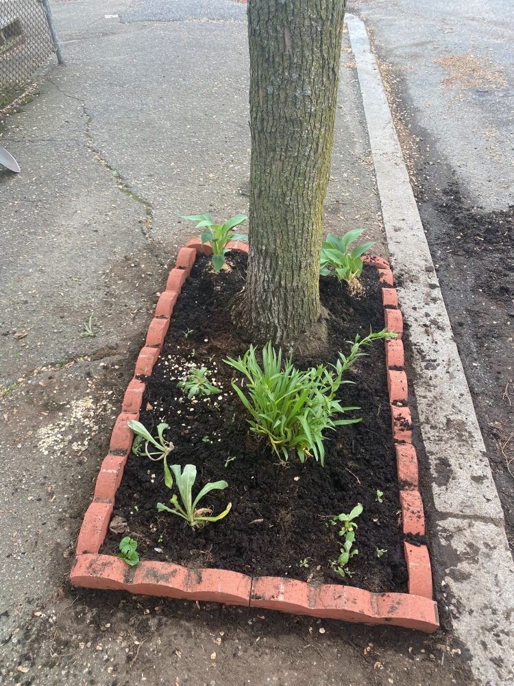 Lovely new plants ready to bring joy.