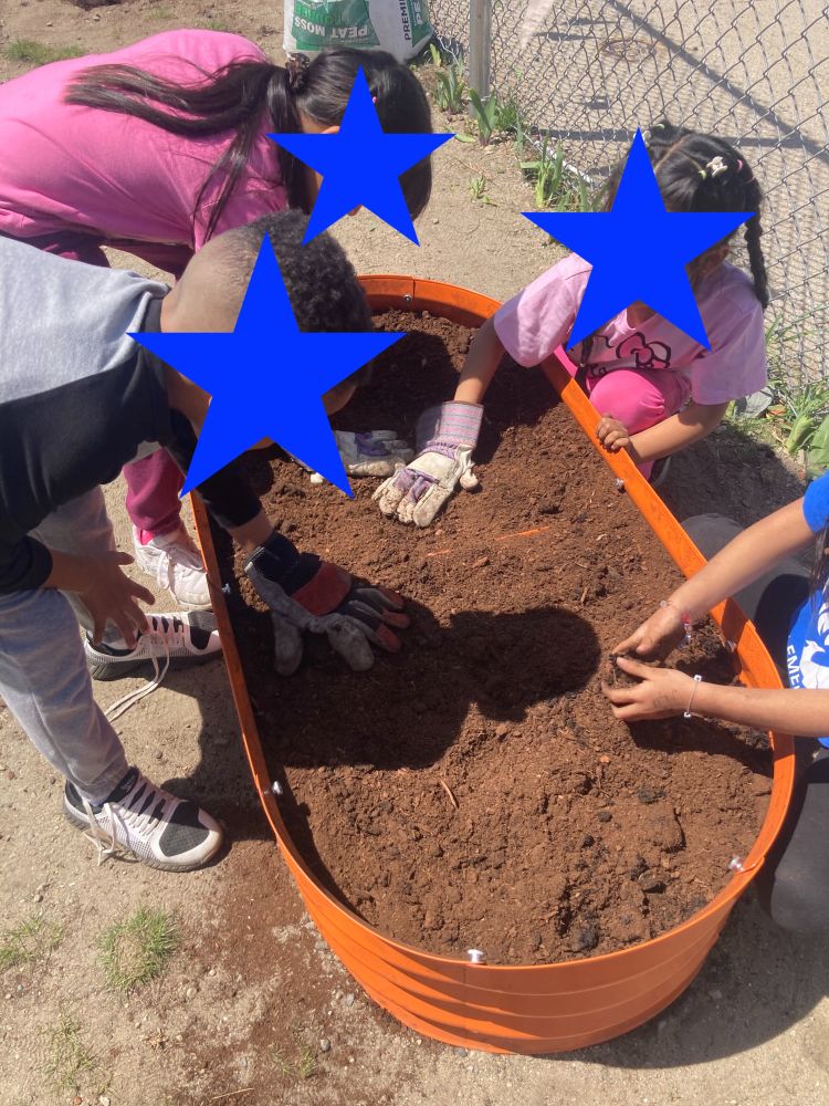 Students planting in containers.