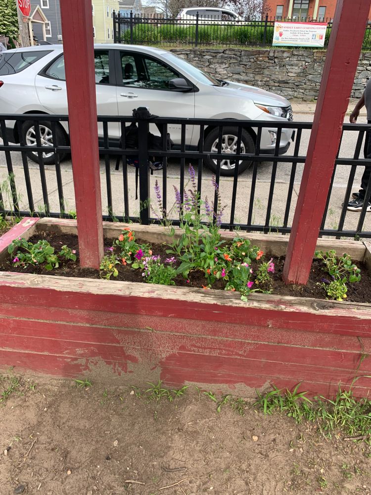 Flowers planted in Woonsocket.