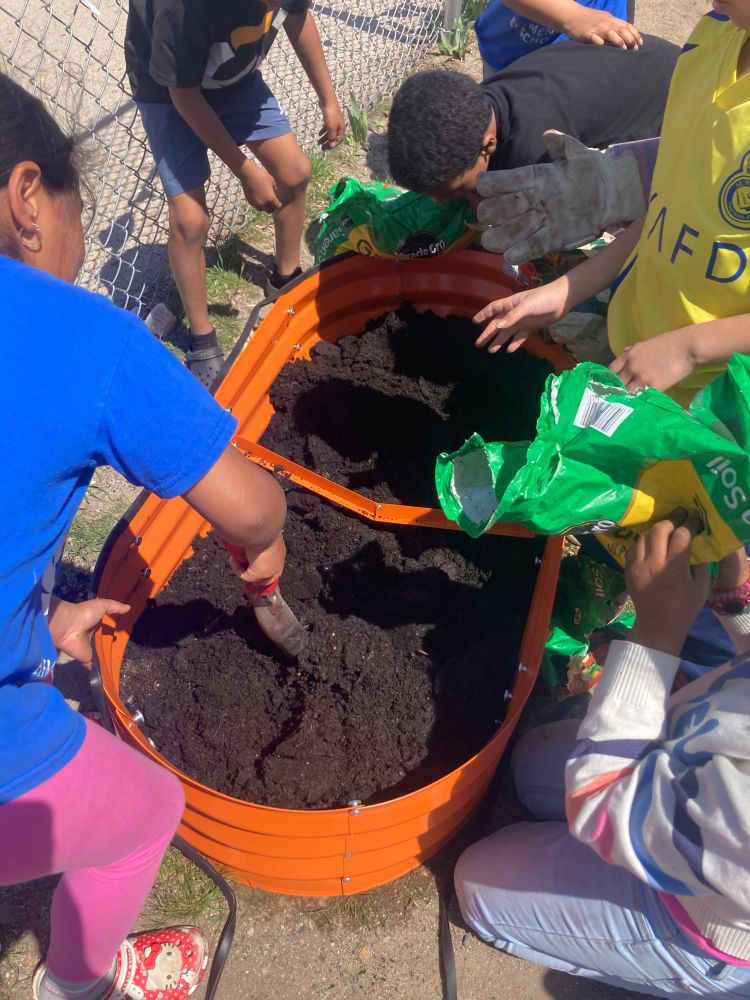 Students planting in containers.