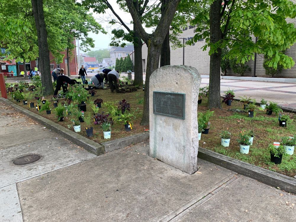 Planting site with busy volunteers.