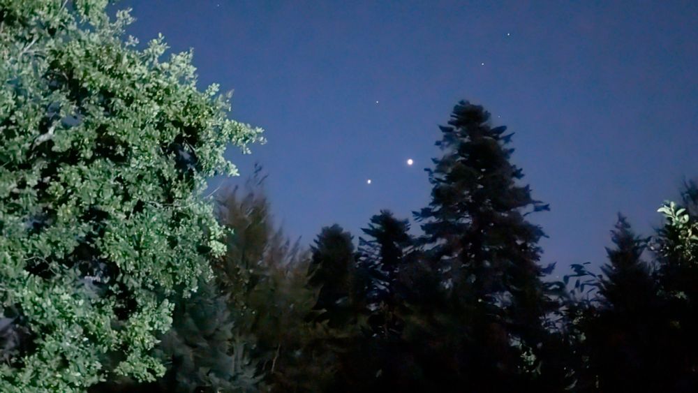 Photo de nuit au milieu de la forêt de deux étoiles, Jupiter et Vénus 