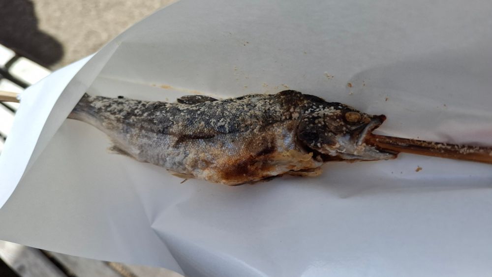 サクラマスとアユのいろり焼きがあり、こちらはサクラマス。