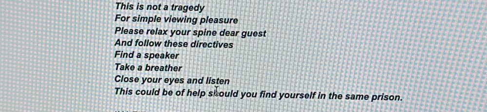 this is not a tragedy 
for simple viewing pleasure
please relax your spine, dear guest
and follow these directives
find a speaker
take a breather
close your eyes
and listen 
this could be of help, should you find yourself in the same prison 
