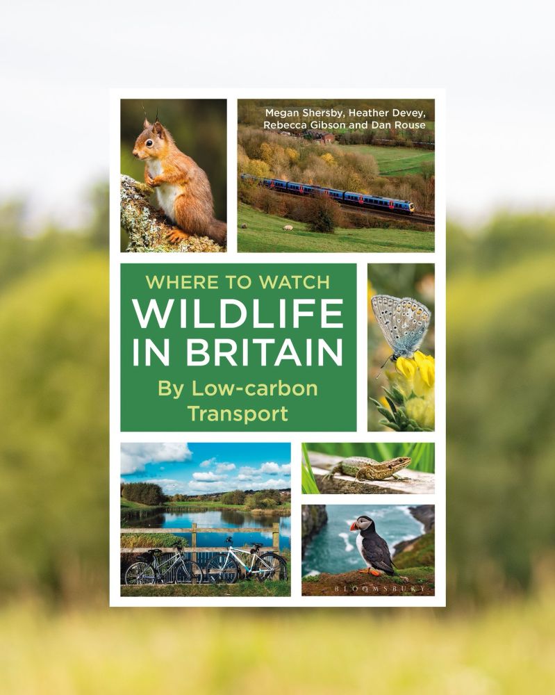 Book cover: Where to Watch Wildlife In Britain by Low-carbon Transport. Featuring wildlife (red squirrel, puffin, butterfly) and low-carbon transport options (train and bicycle)