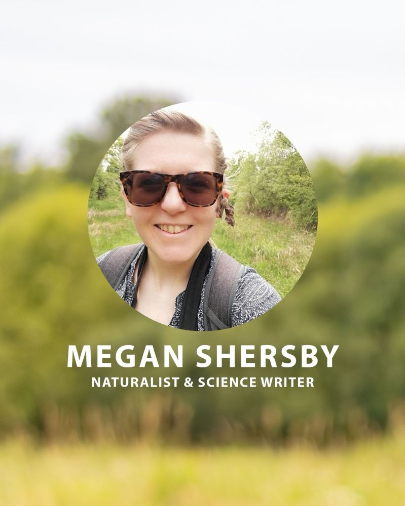 Photo of Megan Shersby (with a moth on her ear), Naturalist & Science Writer