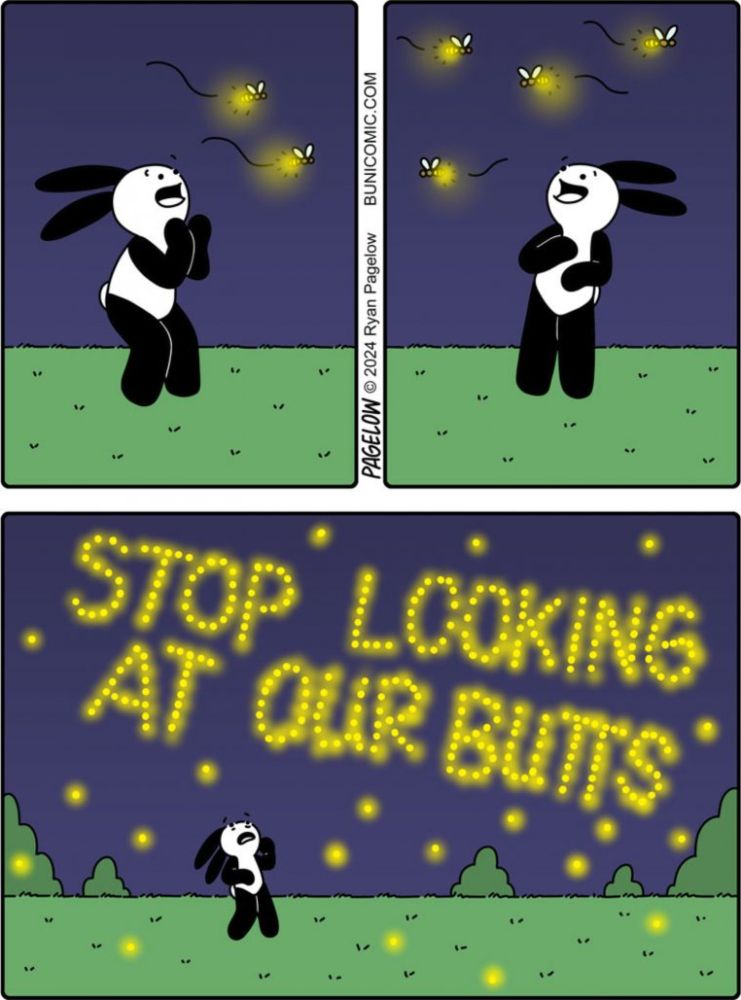 Buni – Buni