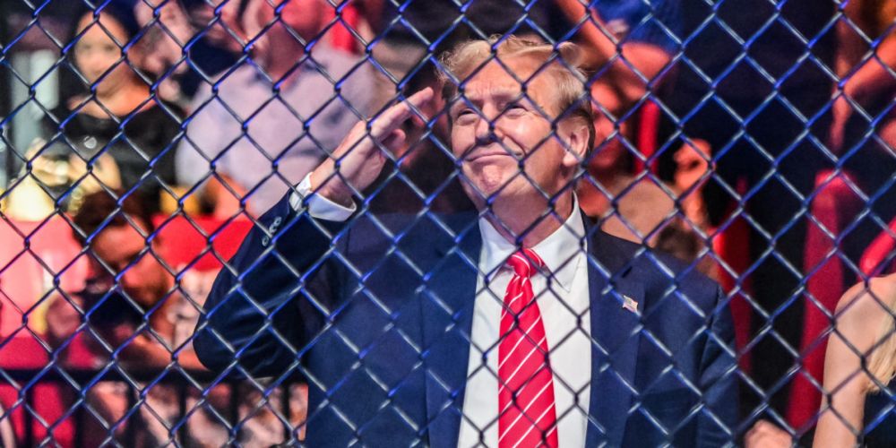 Opinion | Why Trump has found such a receptive male audience in the world of MMA