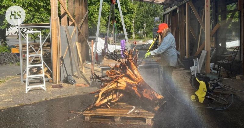 Hyönteiset | Paarmat piinaavat Hanna Marnoa niin, että hän päätti työskennellä öisin