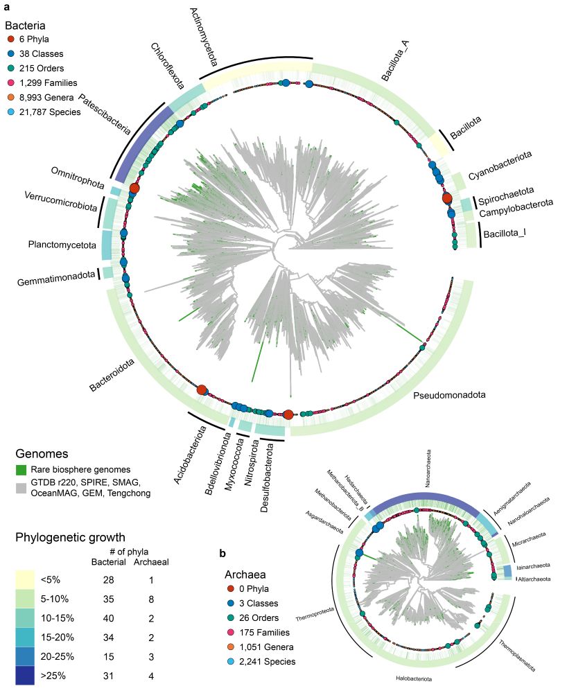 Phylogenetic trees for Bacteria and Archaea