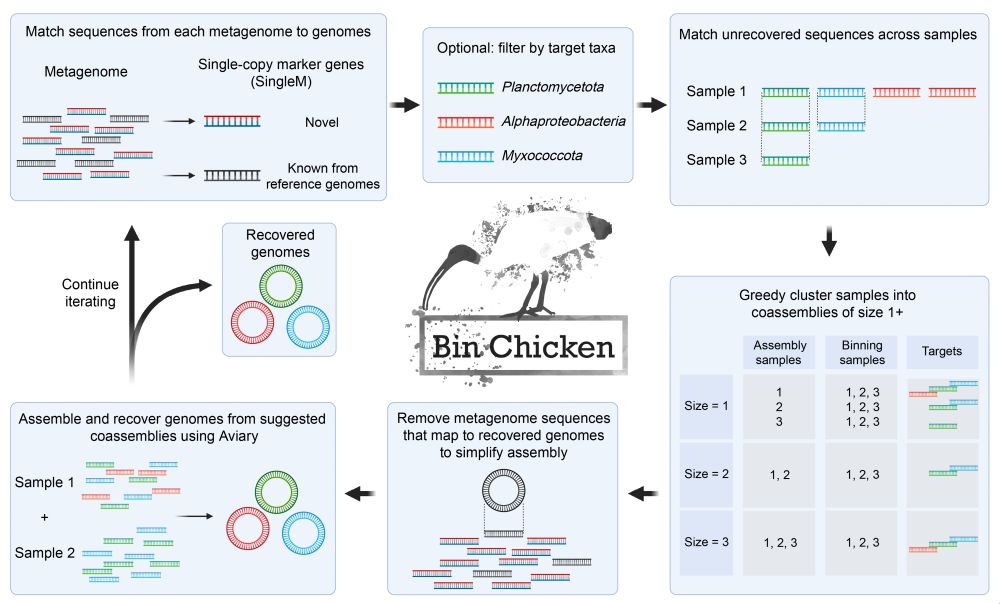 Workflow for Bin Chicken metagenomic binning tool