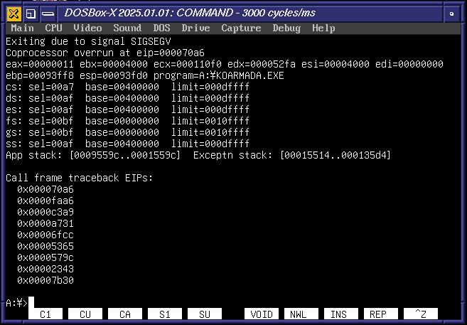 segfault on a djgpp program in dosbox-x
