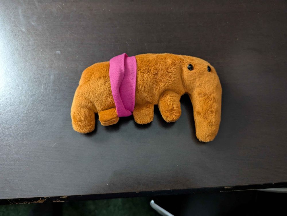 A plush toy of an animal. It has a long snout and four stubby legs in a row. It has two beady and pathetic eyes. There's a pink band wrapped around the middle of it.