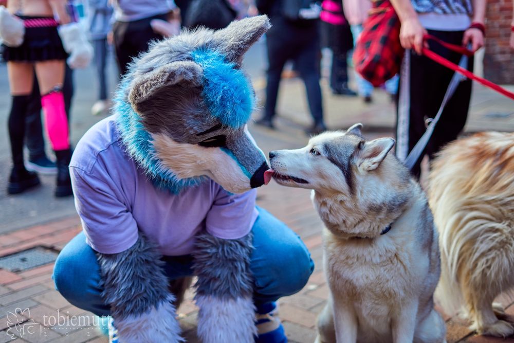 #strangefursuit