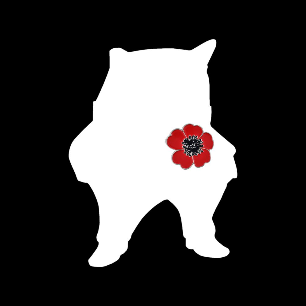 Remembering day Fella