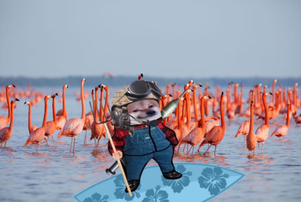 Farmer Marv bot on a (very girlish, flower decorated) surfboard in front after a beautiful flock of flamingos 