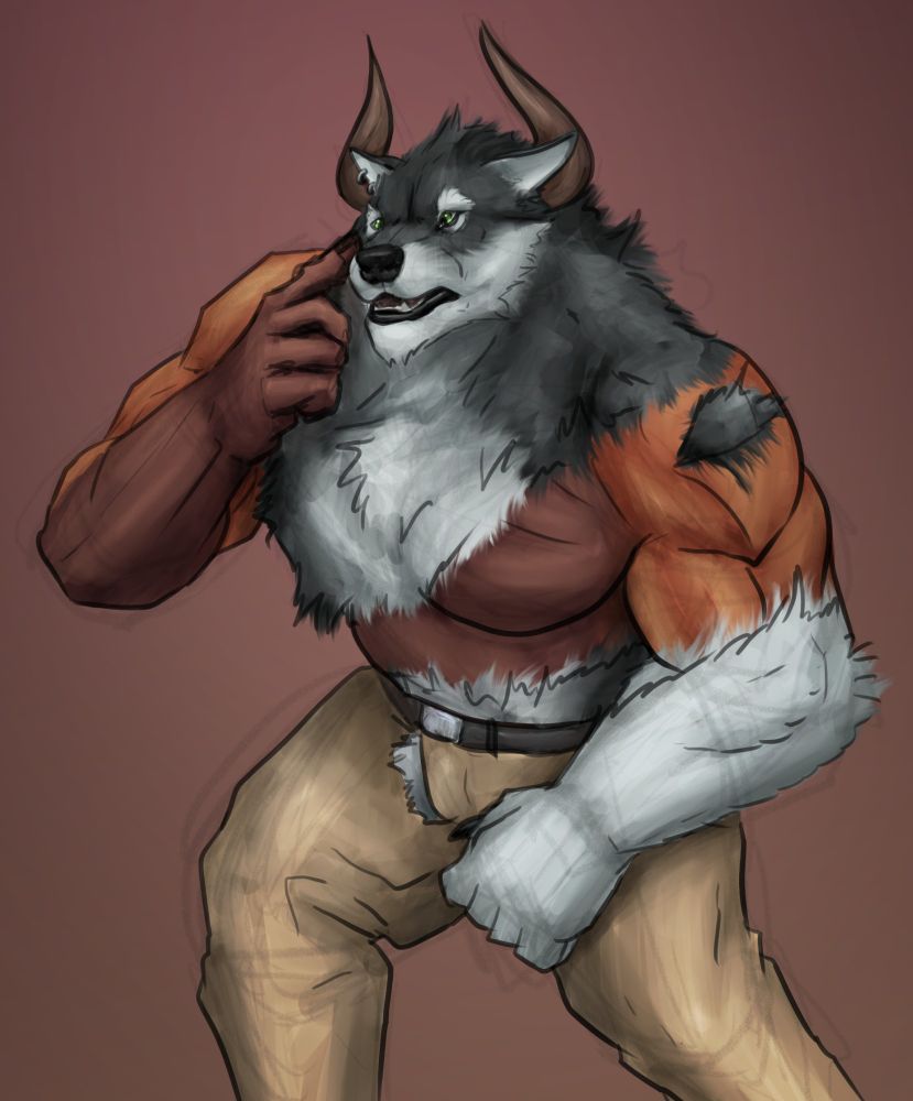 Ruckus midway from a bull to a husky