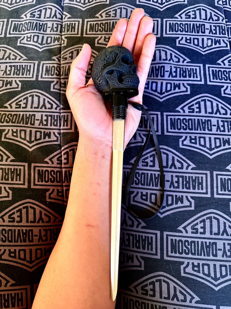 skull with sword opened