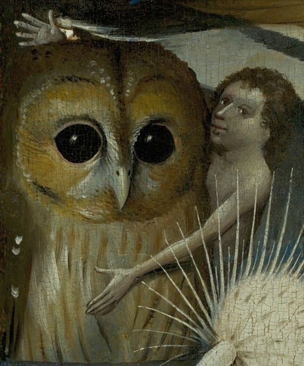 A detail from the painting The Garden of Earthly Delights by Hieronymus Bosch. It features a giant owl with huge black eyes staring into the middle distance while a naked man hugs and shows off the owl with the expression of a man showing off his cool new car or something. There is some sort of spiky flower thing in the foreground.