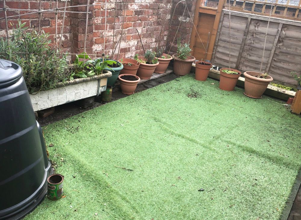 A patio garden with a big composter on the left just slightly in front of a trough with an overflowing sage plant, some spinach and borage. Around the perimeter are a series of large pots, some just down others with lavender, peas and new dandelions.