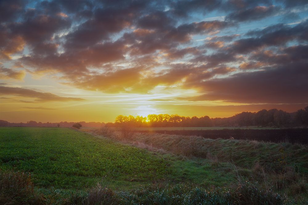 Die Sonne steigt über den Feldern einer norddeutschen Landschaft auf. Das Licht färbt Himmel und Erde golden – ein stiller Moment zwischen Nacht und Tag.