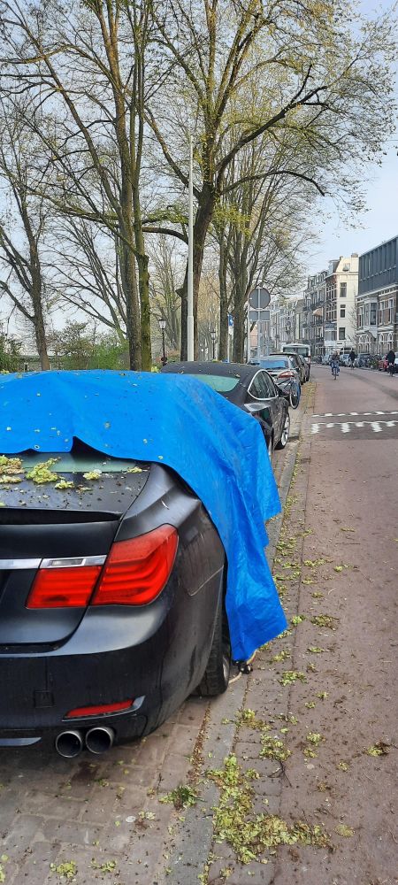 Trosjes Iepencenten op auto's, langs de Amstel geparkeerd