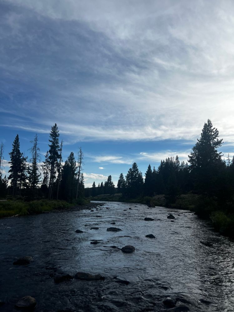A stream flowing through Yellowstone 