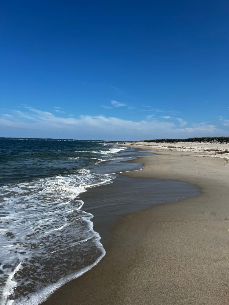 An empty stretch of beach