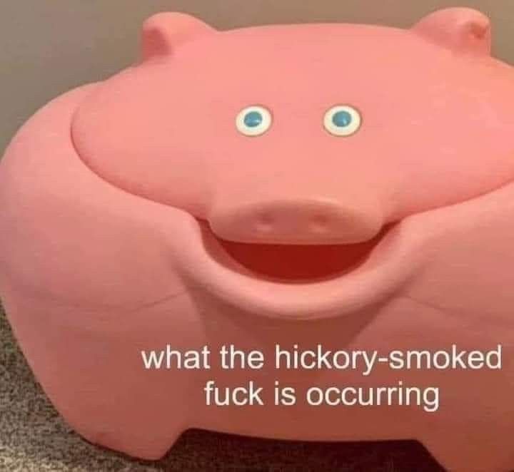 An unfortunate looking pink storage container in the general shape of a pig that asks what the hickory smoked fuck is occurring 