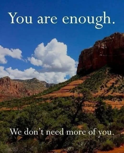 A photo of sandstone cliffs covered in scrub brush and yucca against a blue sky with white clouds. Text overlay reads You are enough. We don't need more of you.