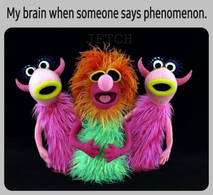 Three multi colored Muppets. Top text reads "my brain when someone says phenomenon"