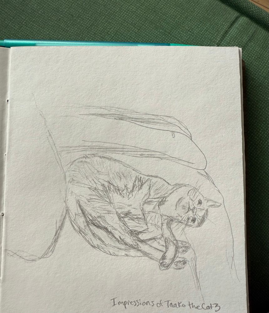 A pencil sketch of, one again, Taako the Cat, laying down on his side on the couch and looking up at the camera with his face directly head on with the camera. This made him look very stupid. His legs and tail are curled up and tangled together in a very awkward position.

Text at the bottom reads “Impressions of Taako the Cat 3” 