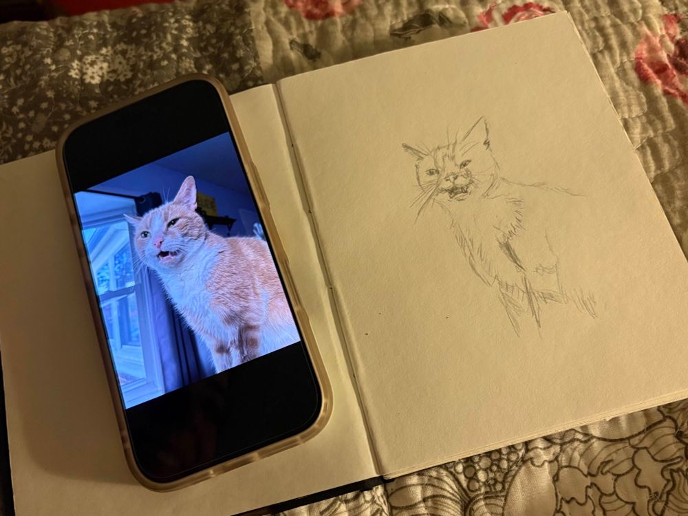 A photo taken by my partner Chris showing my sketchbook open with my reference photo on my phone on top of the left page of the book. The photo is of our cat Taako making the cat stink face that means he found an important smell. His nose is wrinkled up and his mouth is open and he looks very stupid. On the right page of the open book is the early stages of my sketch of Taako making the stupid face.