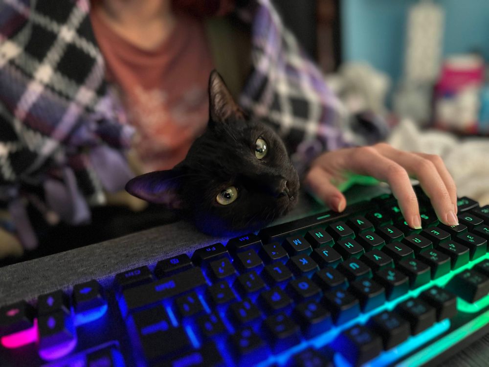 Killian, my black cat resting her face on a grey lap desk. On the lap desk is my computer keyboard because I have my PC connected to my TV to play games in bed. Killian is sitting in my lap helping me play world of warcraft. This is her favorite spot. My shoulders and chest are visible. I'm wearing a pink shirt and wrapped in a purple plaid blanket. My left hand is on the WSAD keys of my keyboard 
