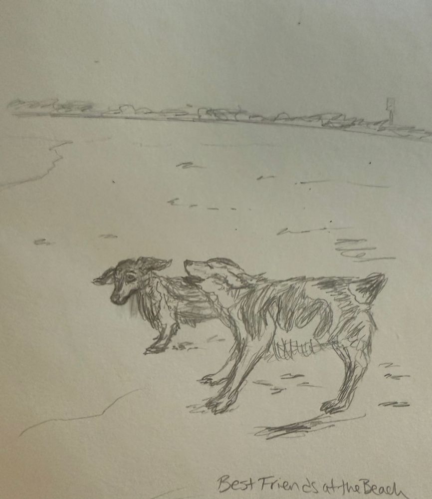A quick sketch based on our beach trip a few years ago. @aberloony’s dog Castiel the mini Australian Shepherd is in the foreground barking joyously and trying to play. Magnus the long haired dachshund behind him looks extremely concerned. His ears fly up in distress and he looks very worried. This is also based on a real happening. Quick vague sketchy lines indicate a shoreline for the beach, some previously made tracks that suggest the two dogs or other people have been running around and in the distance on the horizon, a row of bushes and a rough outline of a sign indicates the dunes.

Text at the bottom reads “Best Friends at the beach.”