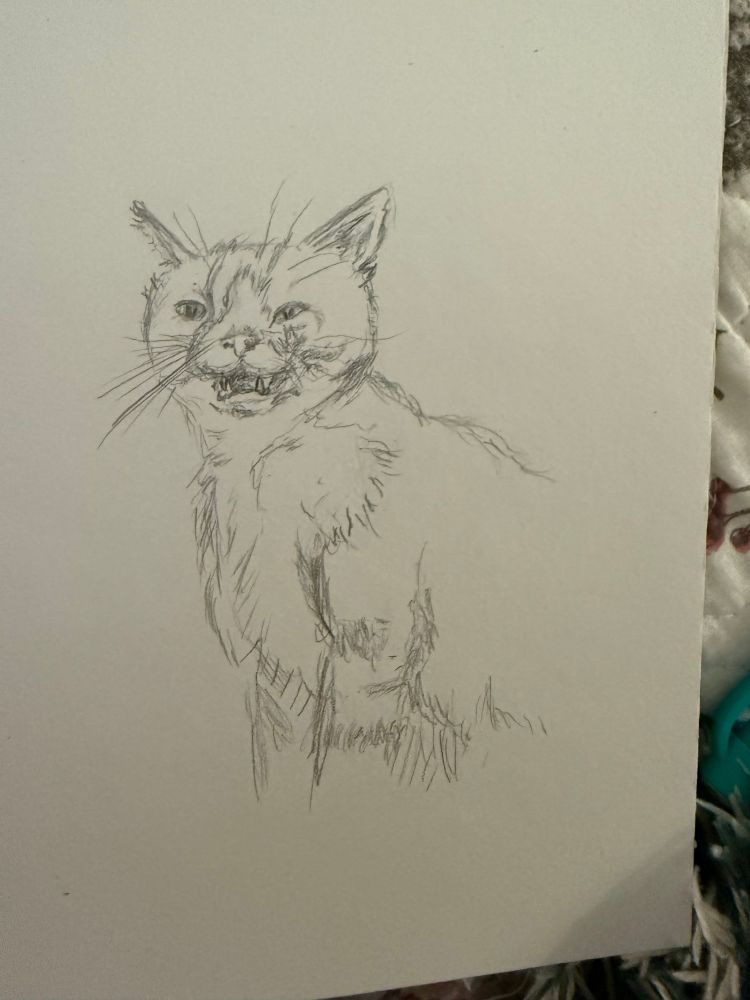 A slightly more developed version of my sketch of Taako the cat making the stupid cat stink face that cats make when they find an important smell. His nose is wrinkled up and mouth open. He looks disgusted.