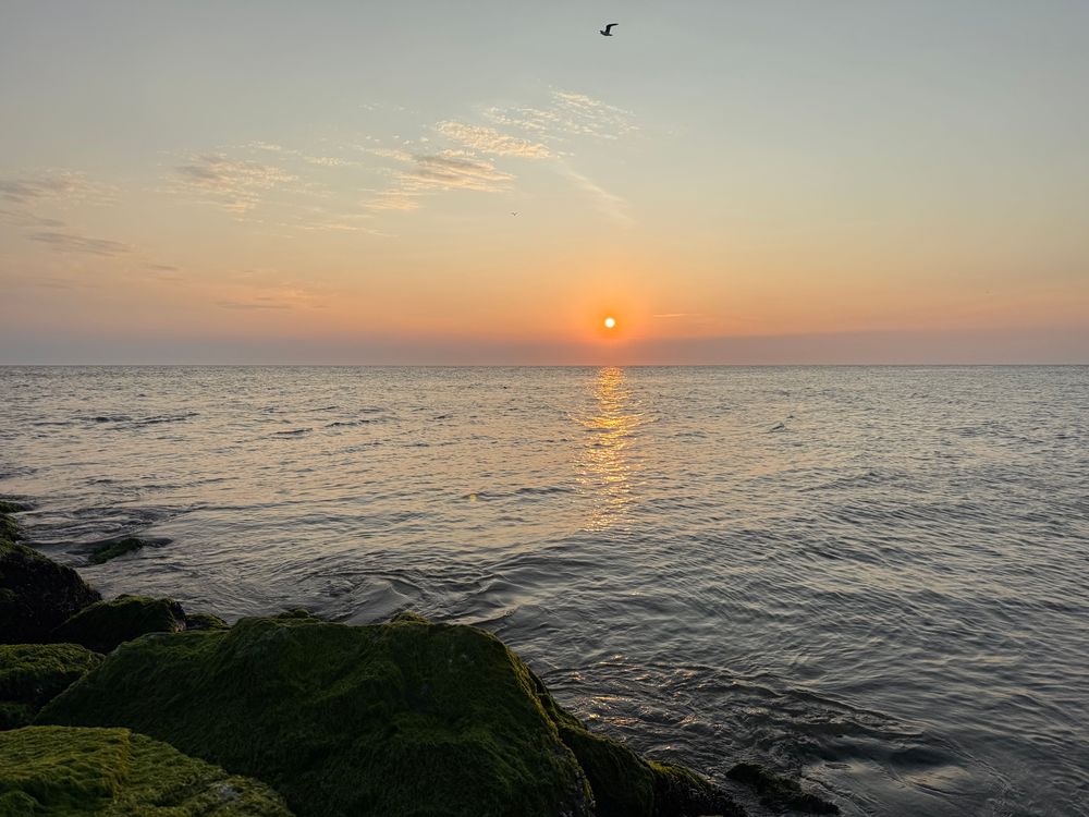 The sunset at Cape May Point as seen from my favorite spot out on the jetty, which is a huge pile of moss covered rocks that juts out from the beach into the ocean. The sun is in the far distance and the sky is orange fading to blue above with a lavender purple-grey haze on the horizon. In the foreground are some of said large green moss covered rocks and in the middle is ocean out to the horizon. It is very still and calm with almost no waves at all like a giant lake with a light breeze.