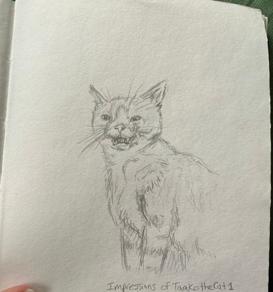 A pencil sketch of Taako the Cat, our orange cat making his stink face that he makes when he finds a very important smell. His nose is wrinkled and mouth is open in what appears to be disgust. The picture consists of his head and shoulders and the first half of his front legs, a portrait.

Text at the bottom reads “Impressions of Taako the Cat 1”