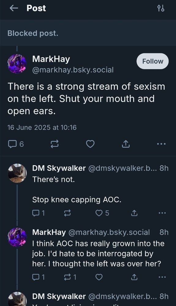 a bluesky screenshot of today's main character affirming that "there is a strong stream of sexism on the left. shut your mouth and open ears."