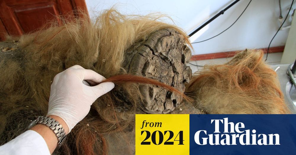Researchers build genome using 52,000-year-old remains of woolly mammoth named after ex-England footballer