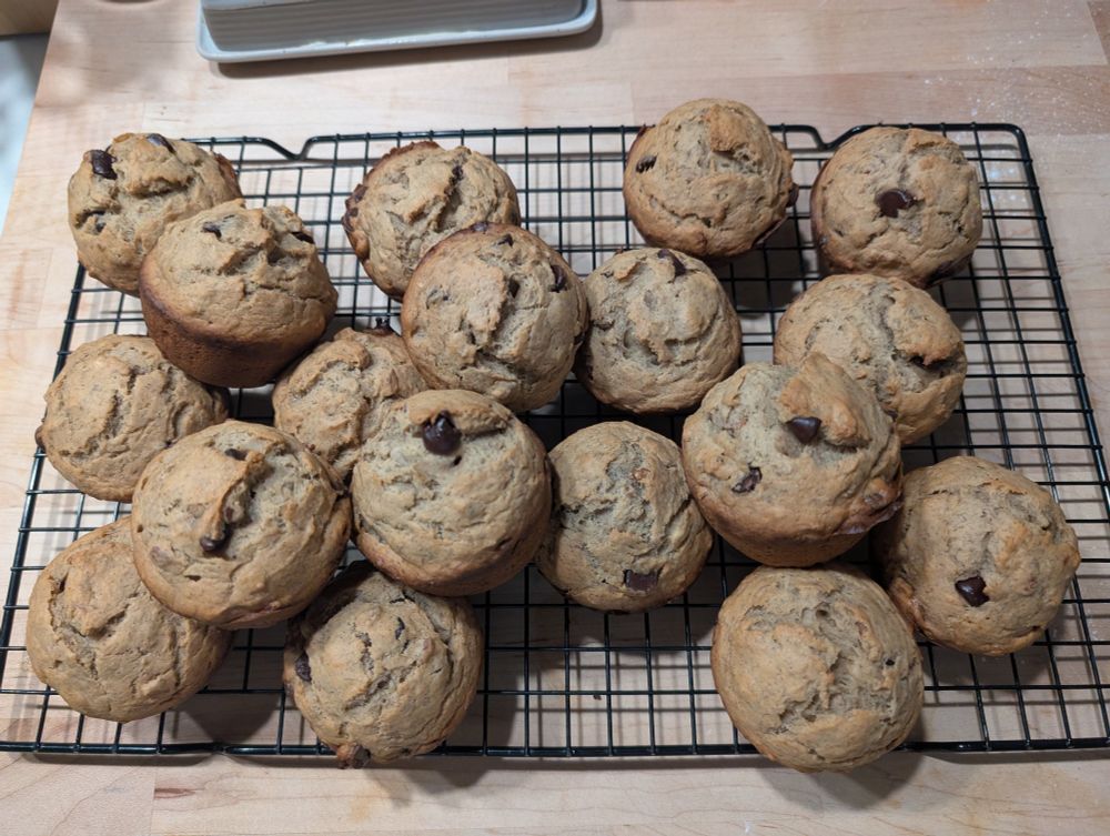 Chocolate pecan banana muffins on a cooling tray 