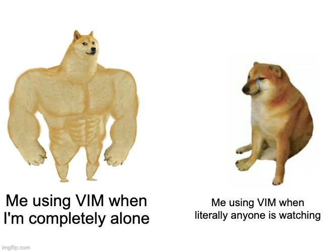 Strong doge and weak doge meme.  The strong dog has the text "Me using VIM when I'm completely alone" and the weak dog has the text "Me using VIM when literally anyone is watching". 